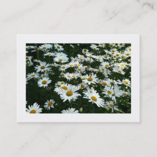 De Visite Marguerites, Mini Carte Photo