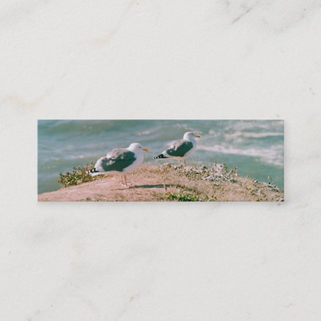 De Visite Mini Bus. Carte - Mouettes sur Cliff (Devant)