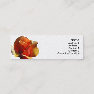 De Visite Mini Carte maigre - l'orange s'est levée