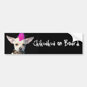 De Voiture Chihuahua à bord du pare-chocs autocollant