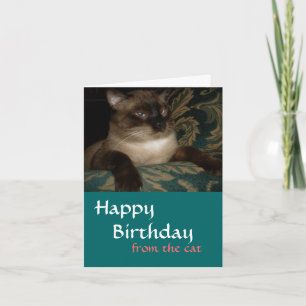 De Votre Chat - Carte Siamese Chat Anniversaire