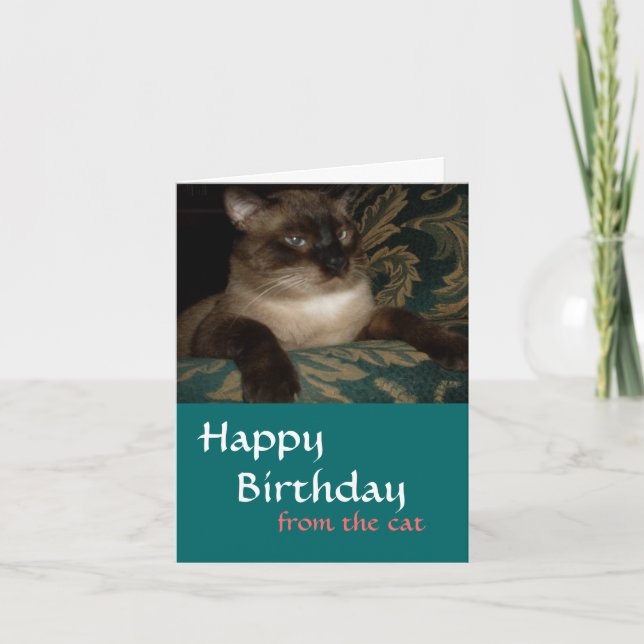 De Votre Chat - Carte Siamese Chat Anniversaire (Devant)