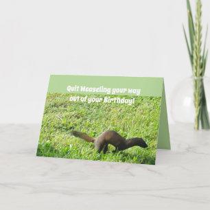 De Weaseling carte d'anniversaire