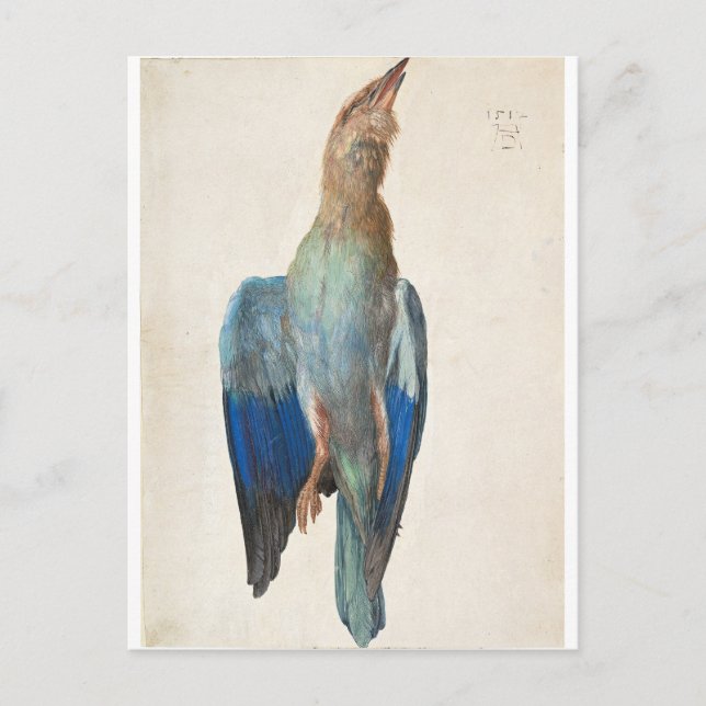Dead Blue Roller von Albrecht Durer Postkarte (Vorderseite)