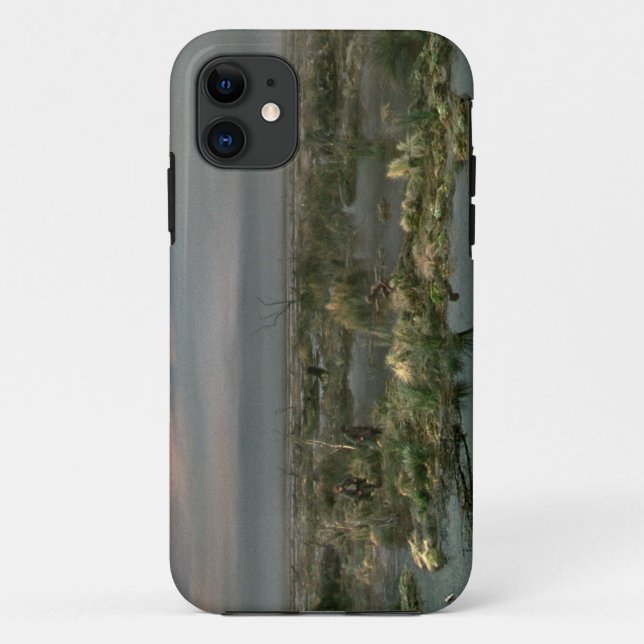Dead Marshes Case-Mate iPhone Hülle (Rückseite)