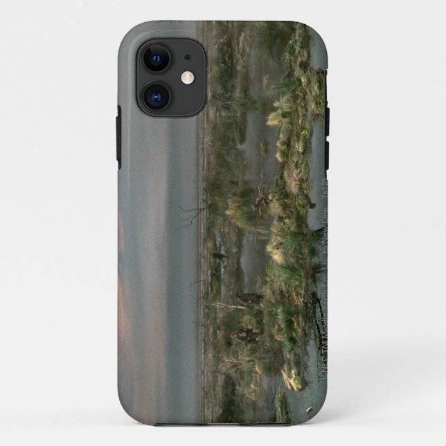 Dead Marshes Case-Mate iPhone Hülle (Rückseite)