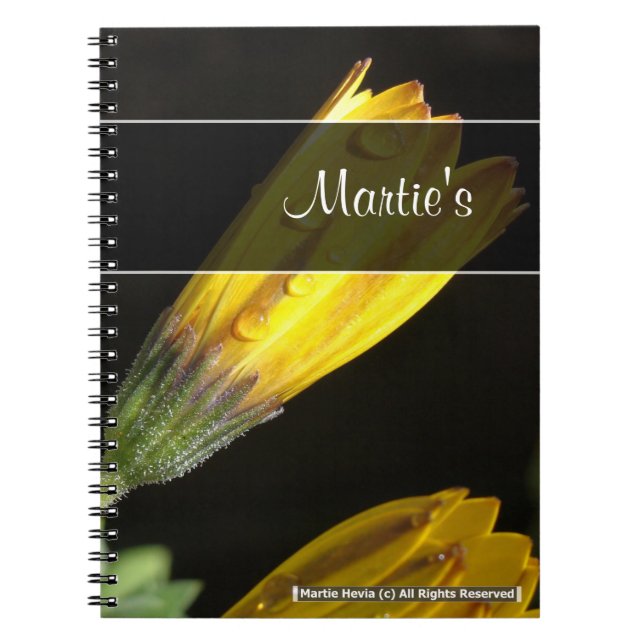 Dead on a Yellow Daisy Notebook Notizblock (Vorderseite)