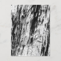 Dead Tree Bark