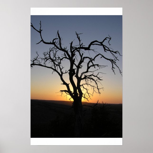 Dead_Tree_Sunset_Erock Poster (Vorne)