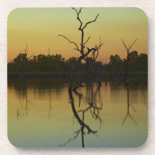 Dead trees reflected in Lily Creek Lagoon, dawn Untersetzer