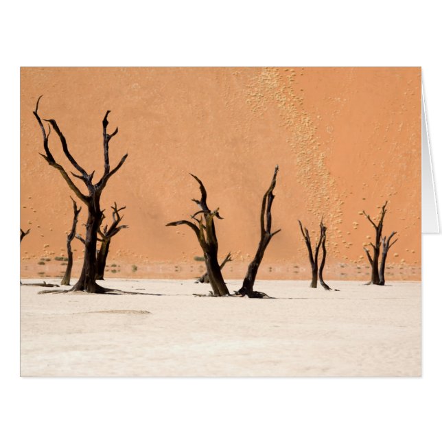 Dead Vlei, Namibia (Vorderseite (Horizontal))