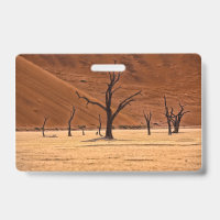 Dead Vlei, Namibia