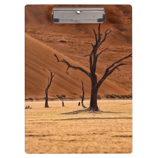 Dead Vlei, Namibia Klemmbrett (Vorderseite)