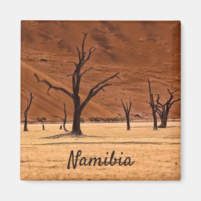 Dead Vlei Namibia Landschaft Foto mit Text Magnet (Vorne)