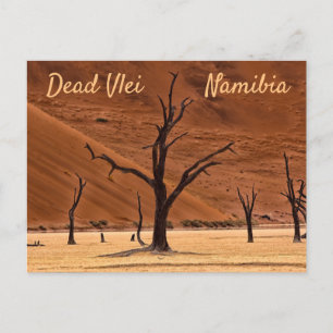 Dead Vlei Namibia Landschaft Foto mit Text Postkarte
