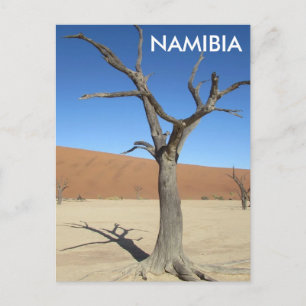 Dead Vlei, Namibia Postcard Postkarte