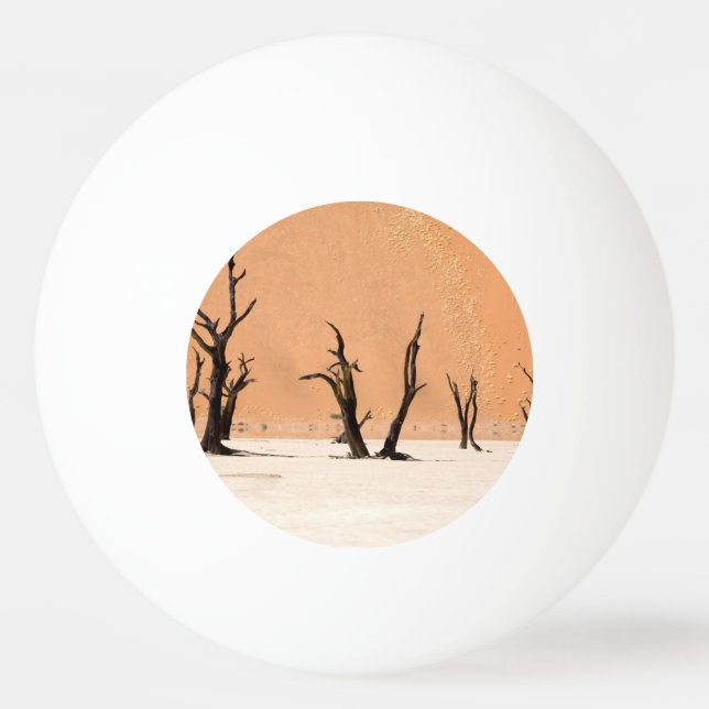 Dead Vlei, Namibia Tischtennisball (Rückseite)