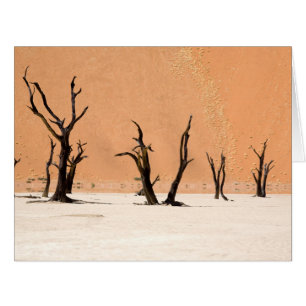 Dead Vlei, Namibie