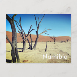 Dead Vlei, Namibie Carte postale