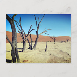 Dead Vlei, Namibie Carte Postale
