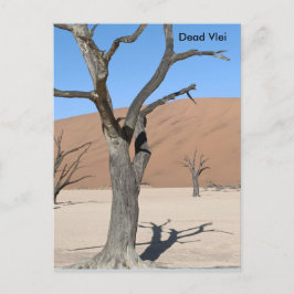 Dead Vlei, Namibie Carte Postale