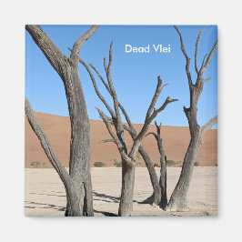 Dead Vlei, Namibie Magnet