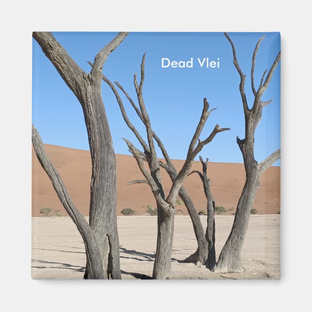 Dead Vlei, Namibie Magnet (Devant)