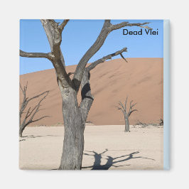 Dead Vlei, Namibie Magnet