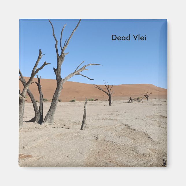 Dead Vlei, Namibie Magnet (Devant)