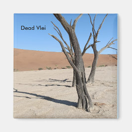 Dead Vlei, Namibie Magnet