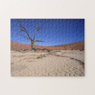 Dead Vlei, Sossusvlei, Namib-Naukluft-Nationalpark