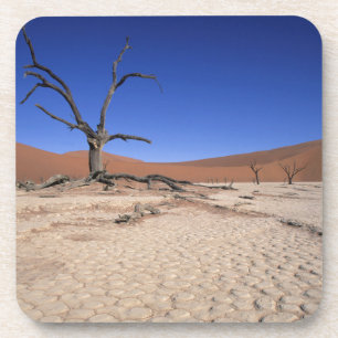 Dead Vlei, Sossusvlei, Namib-Naukluft-Nationalpark Getränkeuntersetzer