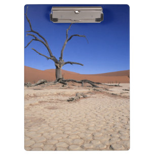Dead Vlei, Sossusvlei, Namib-Naukluft-Nationalpark Klemmbrett