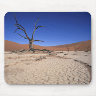 Dead Vlei, Sossusvlei, Namib-Naukluft-Nationalpark Mousepad