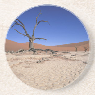 Dead Vlei, Sossusvlei, Namib-Naukluft-Nationalpark Sandstein Untersetzer