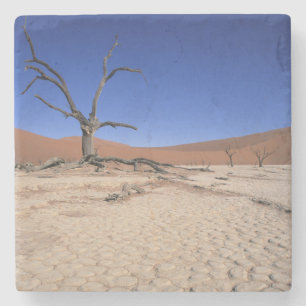 Dead Vlei, Sossusvlei, Namib-Naukluft-Nationalpark Steinuntersetzer
