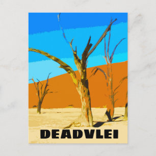 Deadvlei Carte Postale Ancienne Voyage Namibie