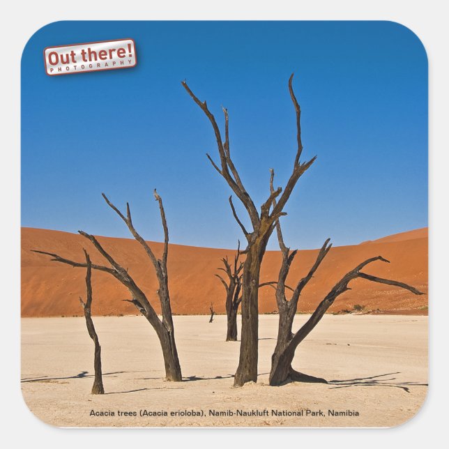 Deadvlei Quadratischer Aufkleber (Vorderseite)