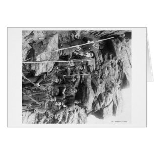 Deadwood Central Railroad Engineer Corps