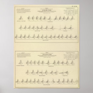 Deaf and Mutism, Statistical US Lithograph Poster
