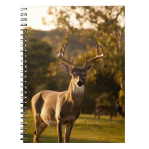 Dealer-Notebook / Journal Notizblock