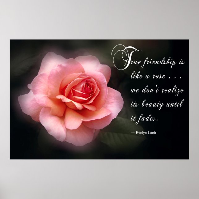 DEAR FRIEND POSTER (Vorne)