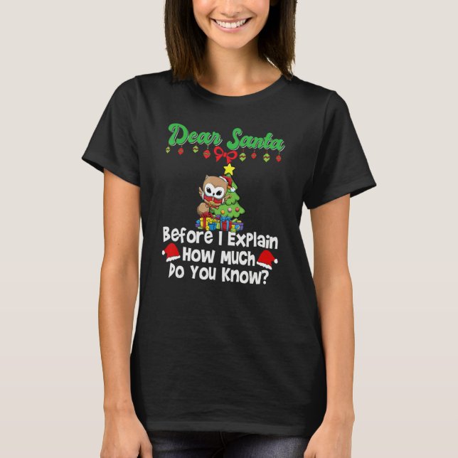 Dear Santa Before I Explain How Much Do You Know_1 T-Shirt (Vorderseite)