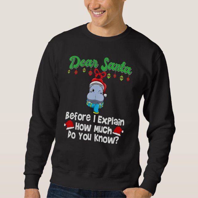 Dear Santa Before I Explain How Much Do You Know_2 Sweatshirt (Vorderseite)