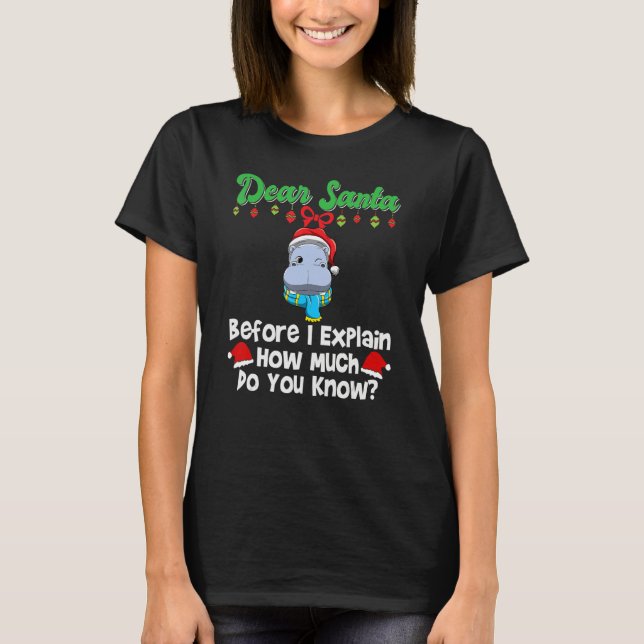 Dear Santa Before I Explain How Much Do You Know_2 T-Shirt (Vorderseite)