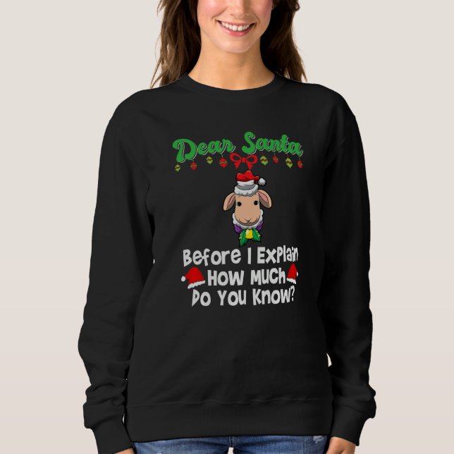 Dear Santa Before I Explain How Much Do You Know P Sweatshirt (Vorderseite)