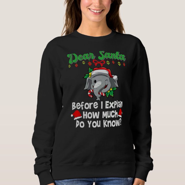 Dear Santa Before I Explain How Much Do You Know P Sweatshirt (Vorderseite)