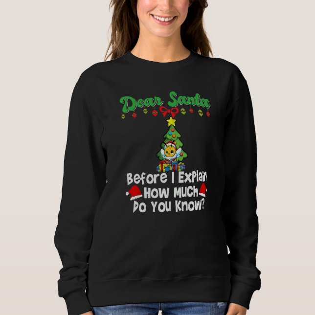 Dear Santa Before I Explain How Much Do You Know P Sweatshirt (Vorderseite)