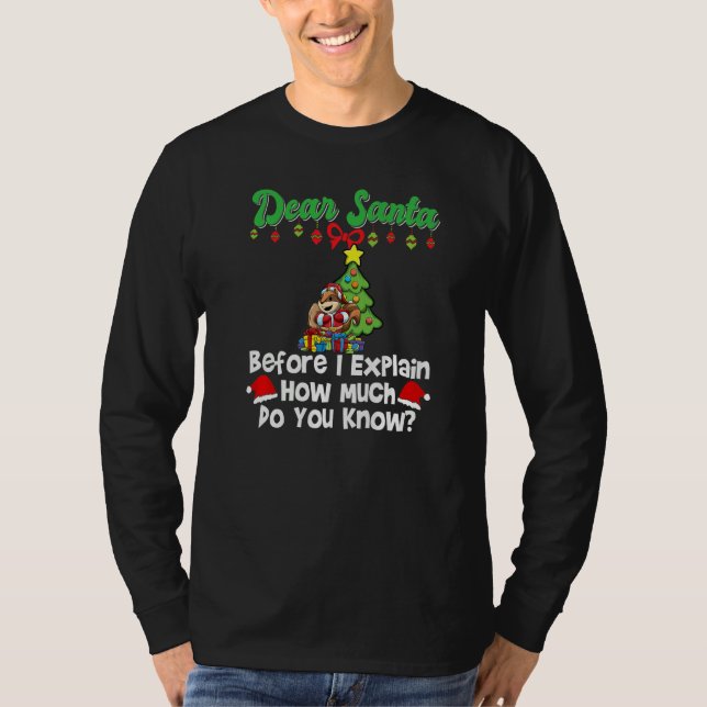 Dear Santa Before I Explain How Much Do You Know P T-Shirt (Vorderseite)