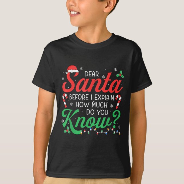 Dear Santa Explain How Much Lights Candy Christmas T-Shirt (Vorderseite)